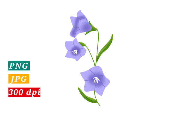 Download Purple Flowers. Transparent Png. - Premium Bundle