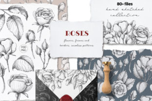 Download Sketched Roses Patterns Frames - Premium Resources